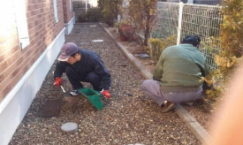 アパートの草取り