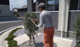植栽剪定